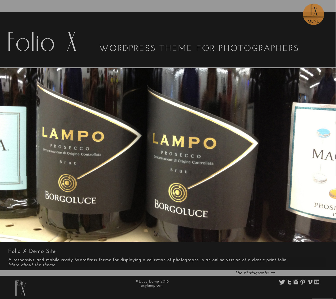 Thumbnail Folio X demo site